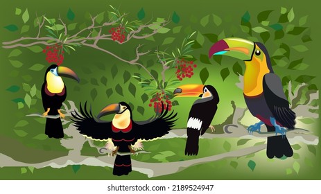 A group of tropical birds on branch in the tropical forest background, colourfull illustration isolated on background