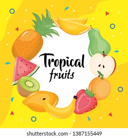 group of tropical and fresh fruits circular frame