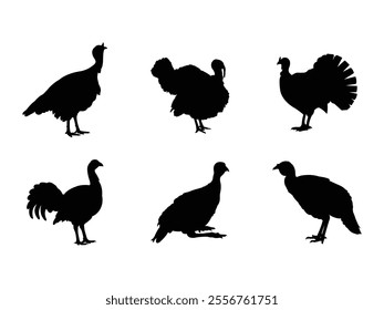 Group of Turkey Poultry Silhouette isolated white background. Vector Illustration