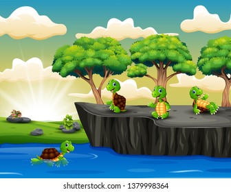 Group of turtle playing on the cliff