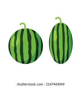 group of two watermelon and oval watermelon vector illustration