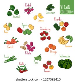 Group of vector colorful illustrations on the vegetarianism theme: various types of fresh vegetables and fruits. Zero waste. Eco lifestyle. Isolated objects for your design.