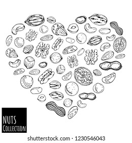 Group of vector illustrations on the nutrition theme; set of different kinds of nuts. Realistic isolated objects for your design. Heart lined with nuts.