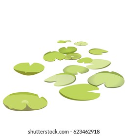 Group vector water lilies floating on water surface. Green low poly water lily. Water plants in different variant, isolated on white background. Isometric clumps growing on edge of pool and pond.