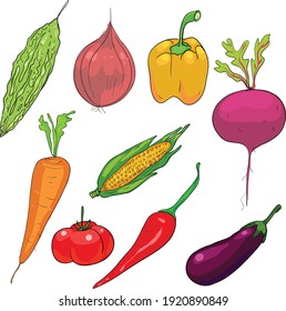 Group of vegetables cllipart vector illustration isolated in white background