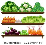 Group of vegetables on shelf illustration