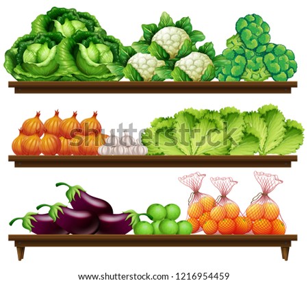 Group of vegetables on shelf illustration