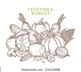 Grupo de verduras en un estilo esquemático. Ilustración aislada de vectores con verduras frescas. Agricultura, cosecha, productos ecológicos, feria.
