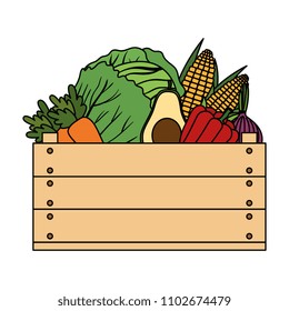 group of vegetables in wooden box