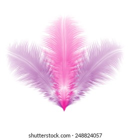 Group of violet and pink soft realistic feathers. Eps10