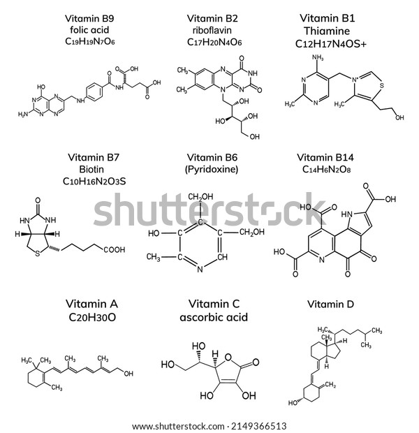 Group Vitamins On White Background Stock Vector (Royalty Free ...