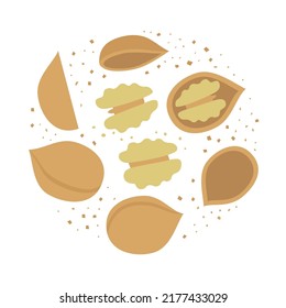 Group of walnuts. Color vector flat illustration isolated on white background.