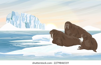 A group of walruses is resting by the sea. Wildlife of the Arctic. Realistic vector landscape