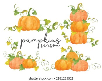 group of watercolor orange pumpkins with brunch leaf and vine hand drawn painting illustration vector banner