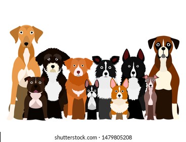 579,277 White paws Images, Stock Photos & Vectors | Shutterstock