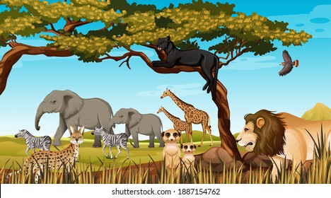 Group of Wild African Animal in the forest scene illustration