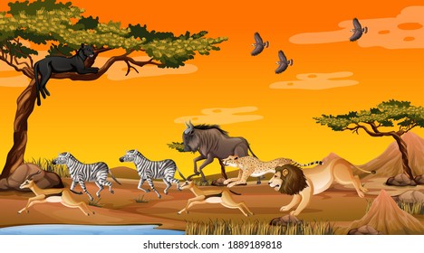 Group of Wild African Animal in the forest scene illustration