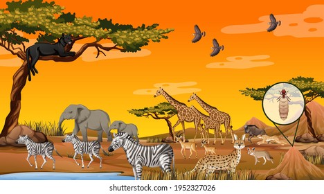 Group of Wild African Animal in the forest scene illustration
