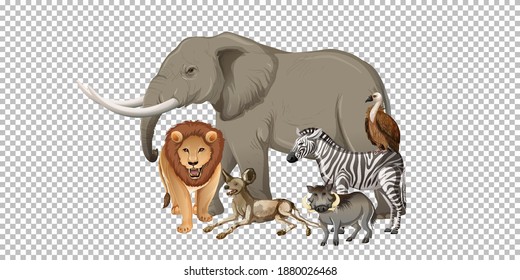 Group of wild african animal on transparent background illustration