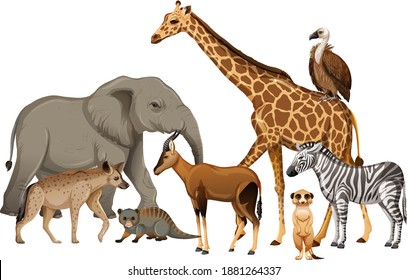 31,230 Wild animal group cartoon Images, Stock Photos & Vectors ...