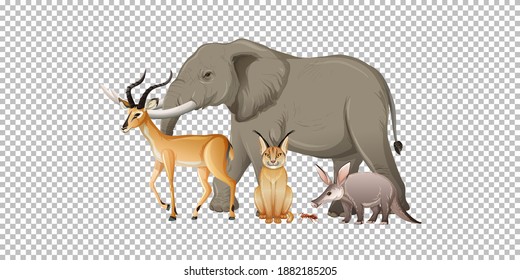 Group of wild african animal on transparent background illustration