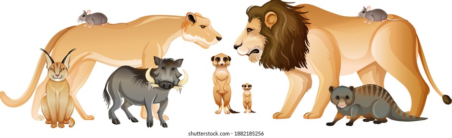 Group of wild african animal on white background illustration
