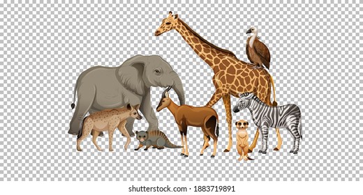 Group of wild african animal on transparent background illustration
