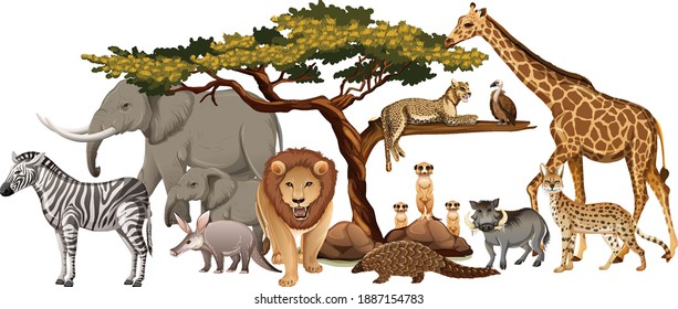 Group of wild african animal on white background illustration