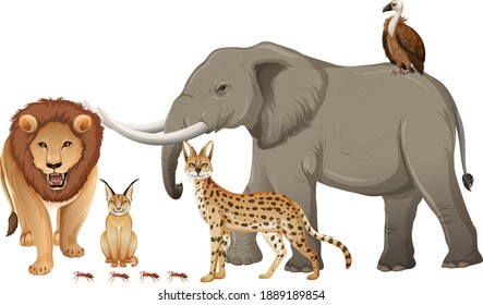 Group of wild african animal on white background illustration