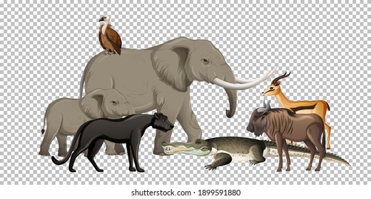 Group of wild african animal on transparent background illustration