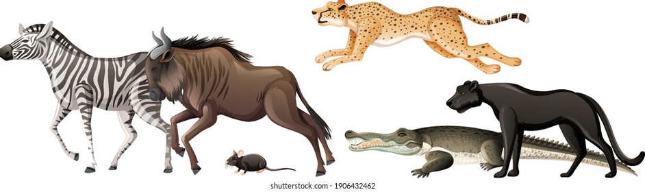 Group of wild african animal on white background illustration