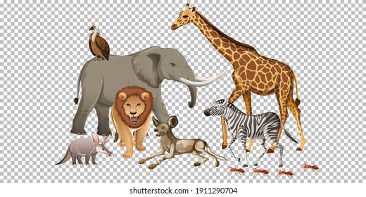Group of wild african animal on transparent background illustration