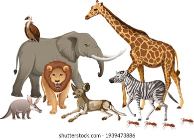 Group of wild african animal on white background illustration