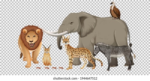 Group of wild african animal on transparent background illustration