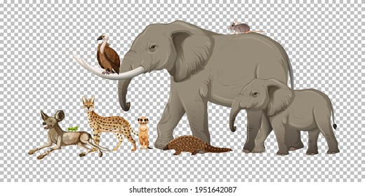 Group of wild african animal on transparent background illustration