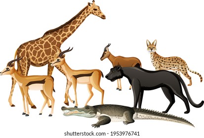 Group of wild african animal on white background illustration