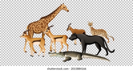 Group of wild african animal on transparent background illustration