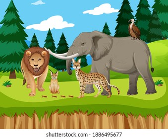 Group of wild african animal in the zoo scene illustration