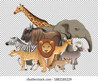 Group Of Wild African Animals On Transparent Background Illustration