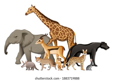 Group of wild African animals on white background illustration