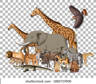 Group of wild african animals on transparent background illustration