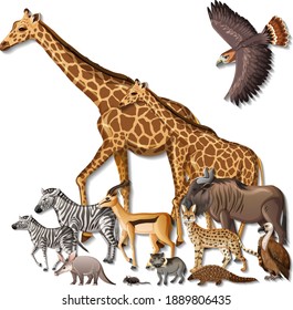 Group of wild African animals on white background illustration