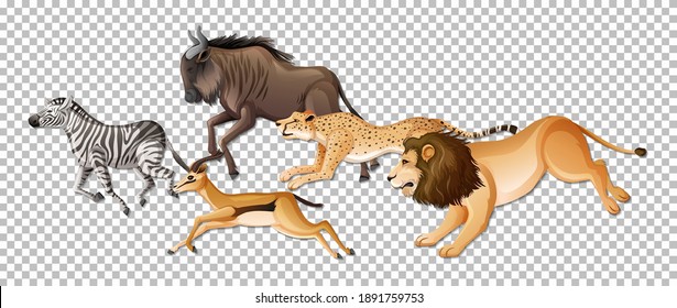 Group of wild African animals on transparent background illustration