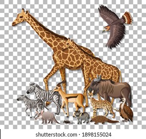 Group of wild african animals on transparent background illustration