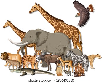 Group of wild African animals on white background illustration - Shutterstock ID 1906432510