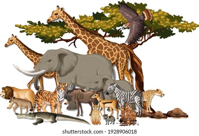 Group Of Wild African Animals On White Background Illustration