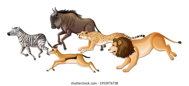 Group of wild African animals on white background illustration