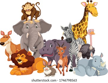 Group of wild animal illustration