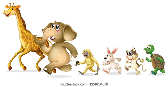 Group of wild animal on white background illustration