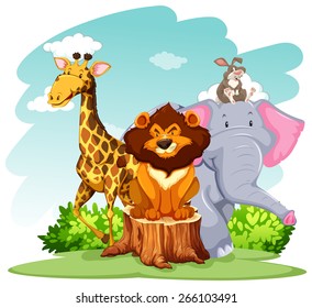 Group of wild animals in the forest
